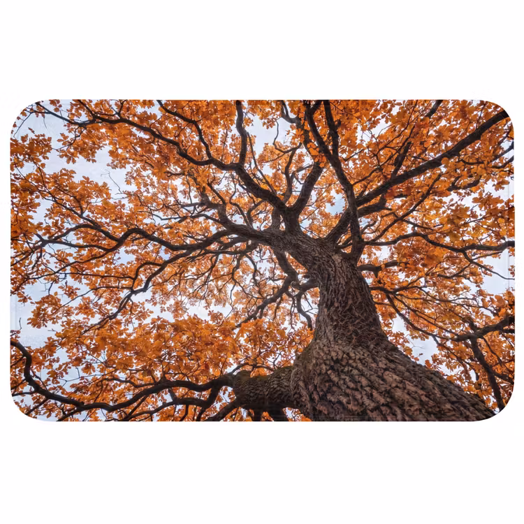 Badmat - Boom - Bladerdak - Herfst - Oranje - Sfeervol — 1