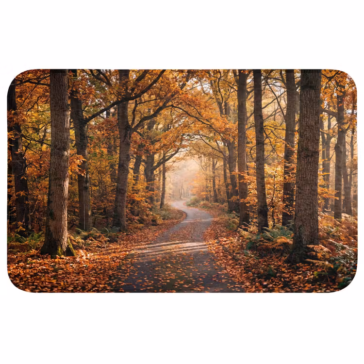 Badmat - Bospad - Herfstbos - Bladeren - Oranje - Nostalgisch — 1