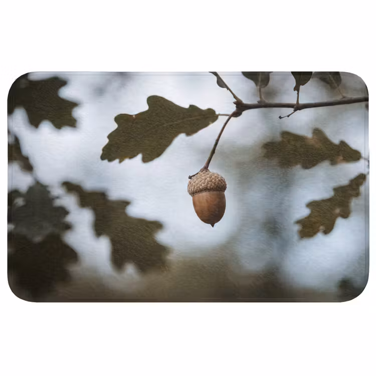 Badmat - Eikel - Eikenblad - Bos - Herfst - Natuur — 1