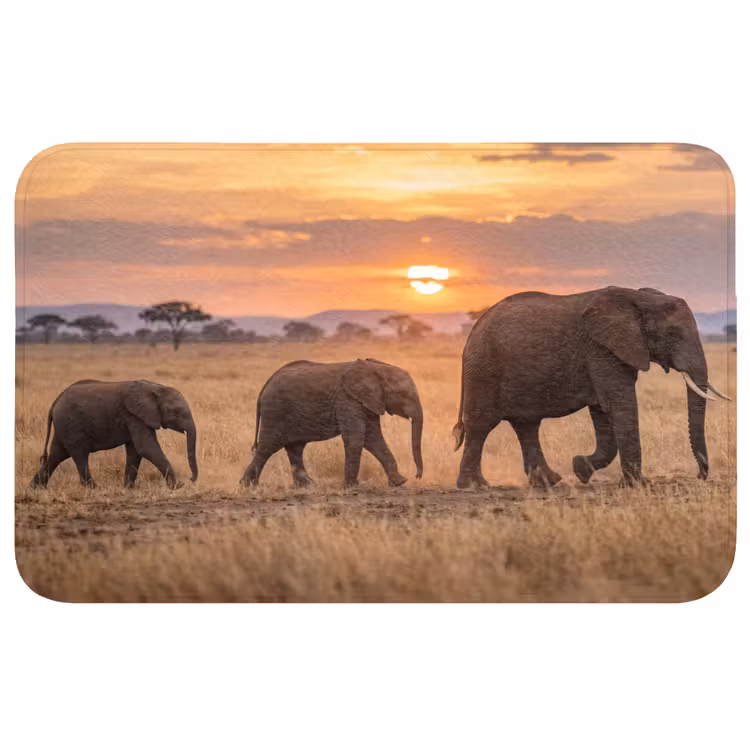 Badmat - Olifanten - Savanne - Zonsondergang - Afrika - Warm — 1