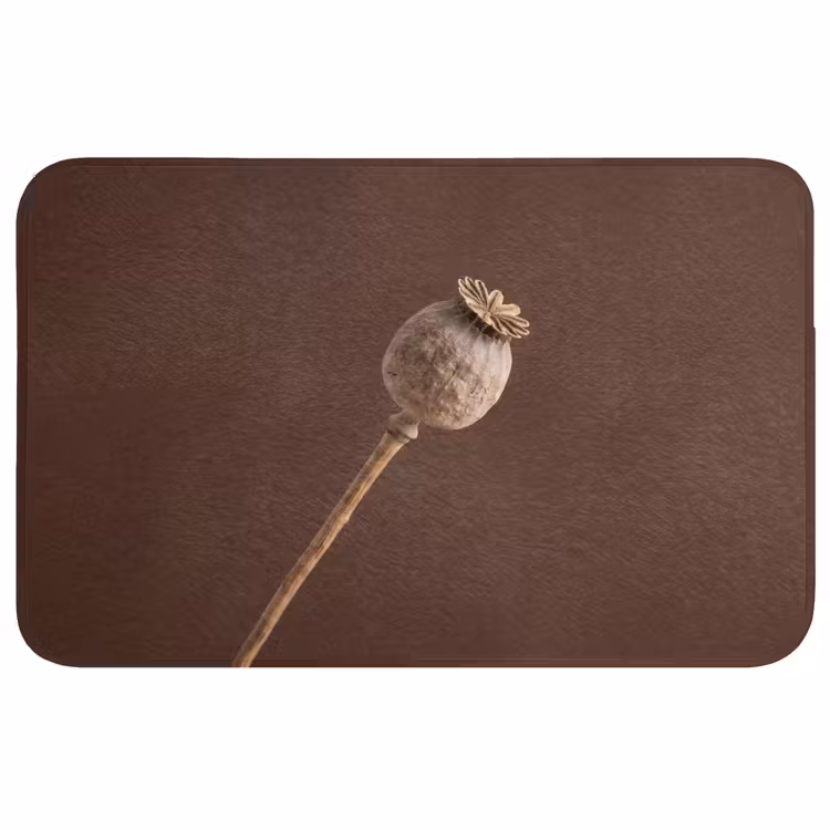 Badmat - Papaverbol - Droogbloem - Bruin - Minimalistisch — 1