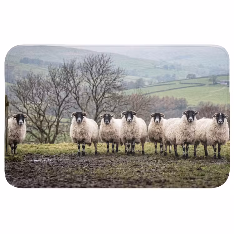 Badmat - Schapen - Rij - Weide - Dieren - Platteland — 1