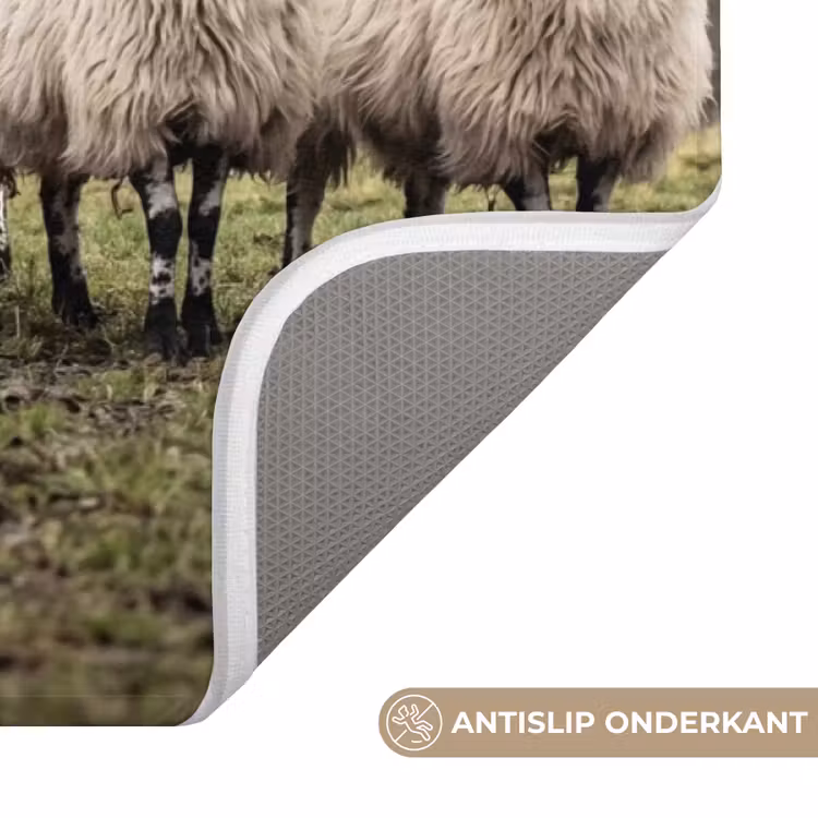 Badmat - Schapen - Rij - Weide - Dieren - Platteland — 3