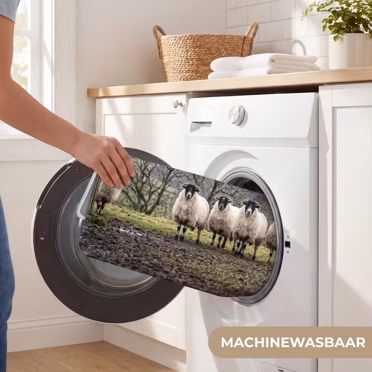Badmat - Schapen - Rij - Weide - Dieren - Platteland — 7