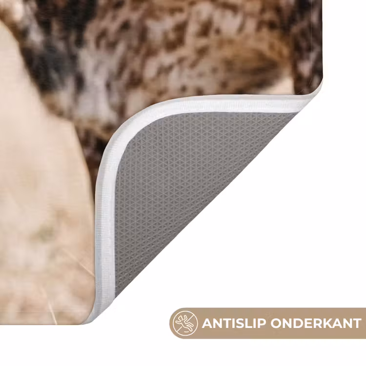 Badmat - Texas Longhorn - Kalf - Weide - Dieren — 3