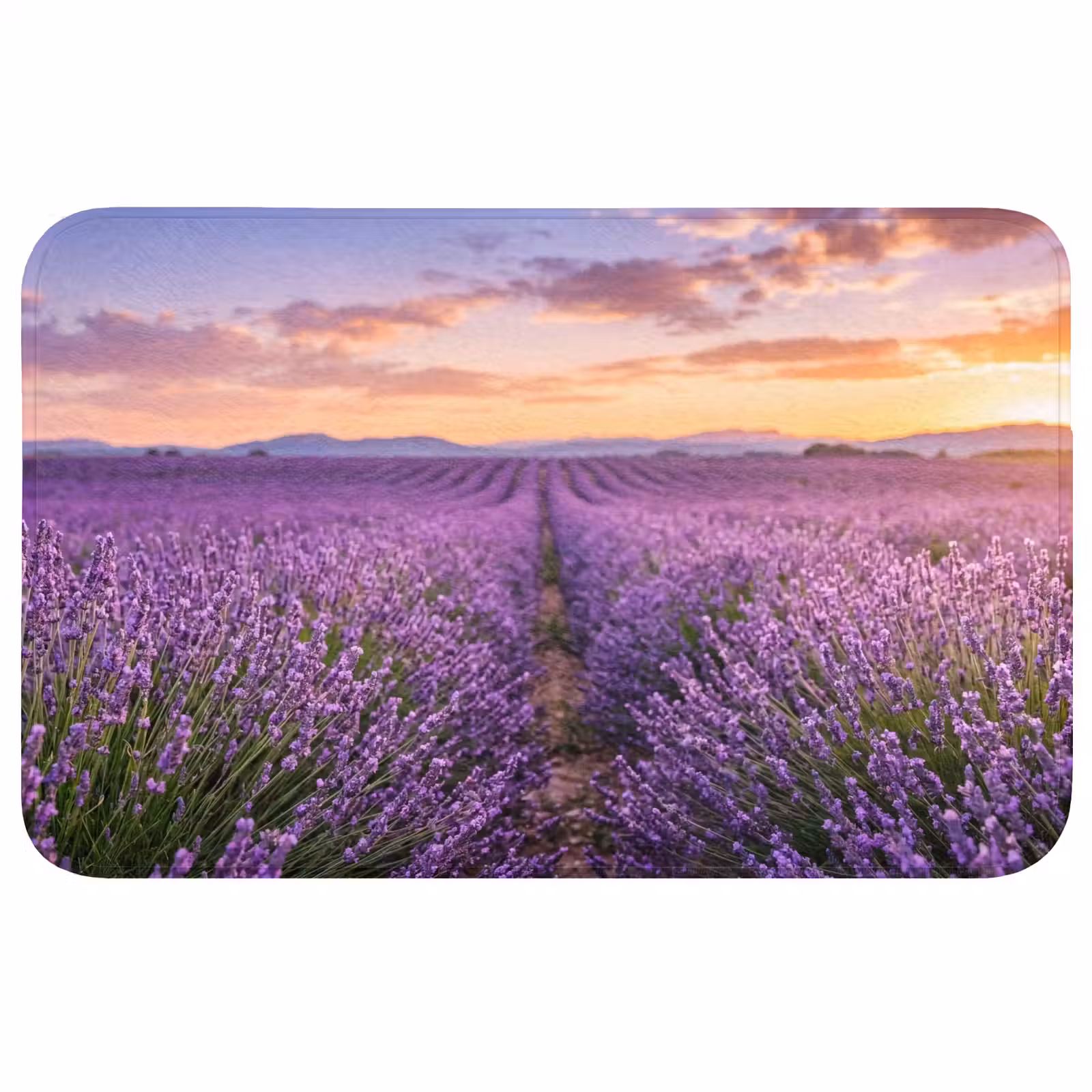 Badmat - Lavendel - Veld - Natuur - Paars — 1