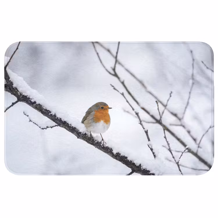 Badmat - Roodborstje - Tak - Sneeuw - Winter - Levendig — 1