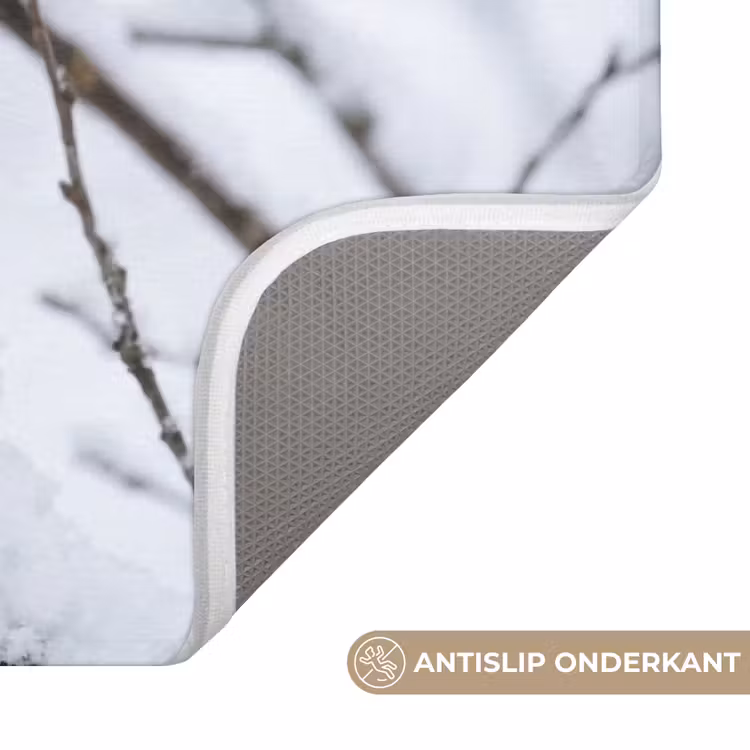 Badmat - Roodborstje - Tak - Sneeuw - Winter - Levendig — 3