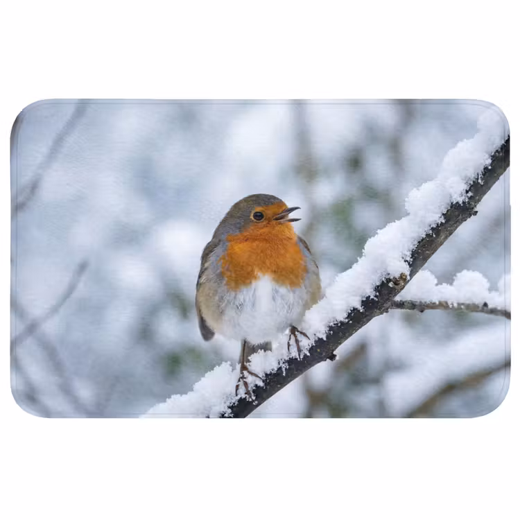 Badmat - Roodborstje - Tak - Sneeuw - Winter - Levendig — 1
