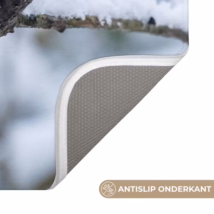 Badmat - Roodborstje - Tak - Sneeuw - Winter - Levendig — 3