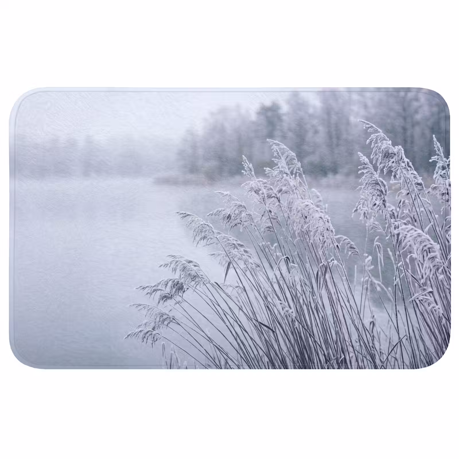 Badmat - Riet - Bevroren - Winter - Natuur — 1