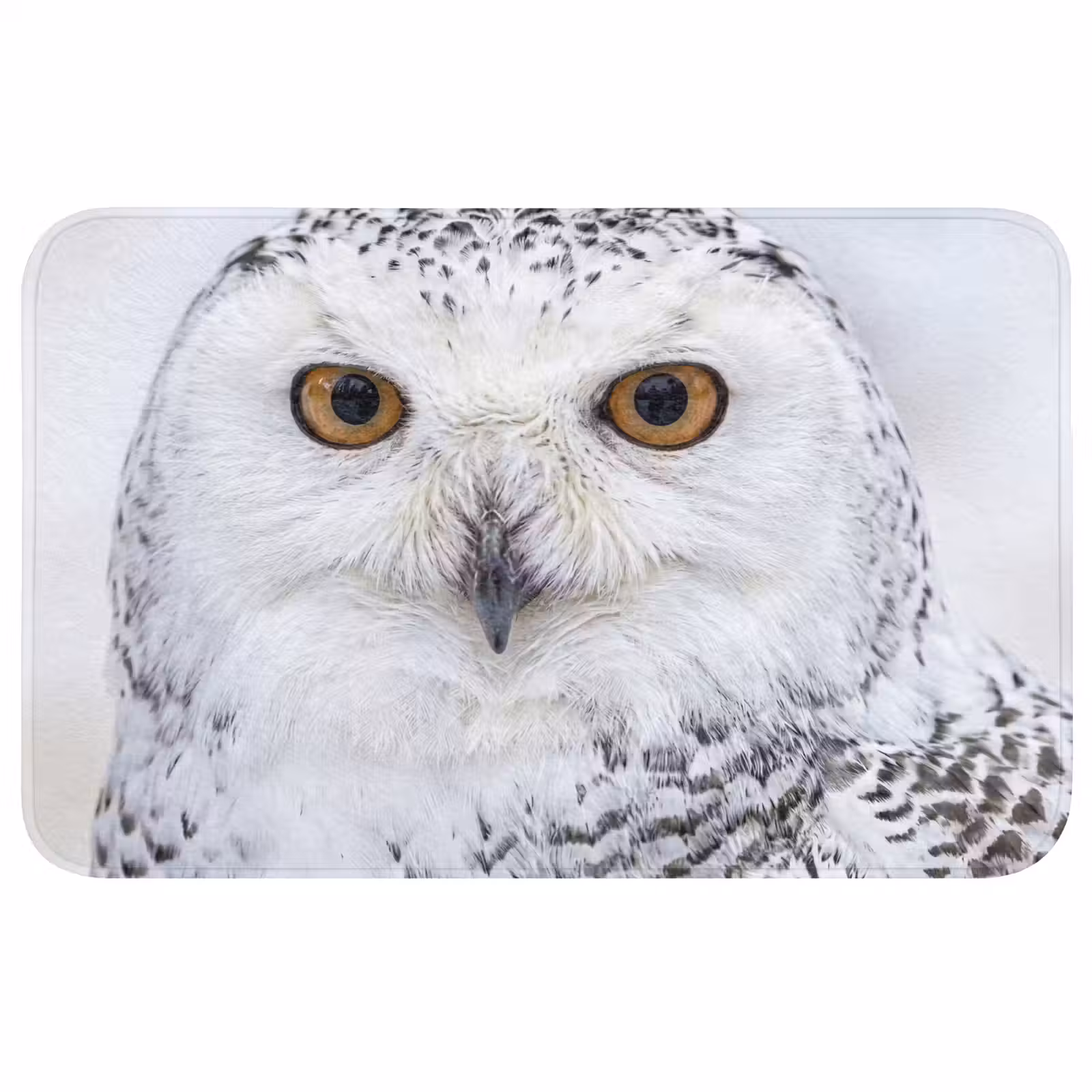Badmat - Sneeuwuil - Oog - Wildlife - Wit — 1
