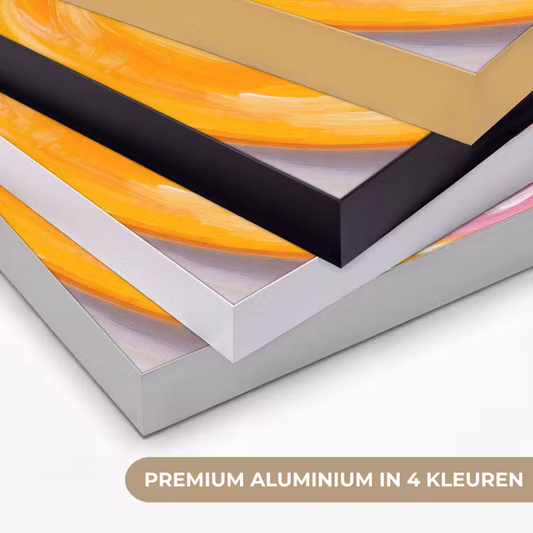Art Frame - Vis - Vier - Eten - Modern - Kleurrijk — 5