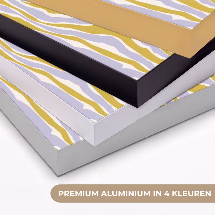 Art Frame - Zebra - Modern - Meerkleurig — 5