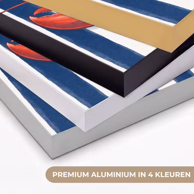 Art Frame - Schaaldier - Kreeft - Marine - Illustratie - Rood — 5