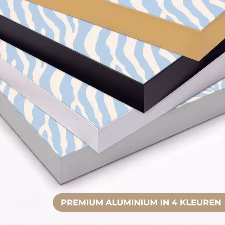 Art Frame - Zebra - Motief - Blauw - Wit — 5