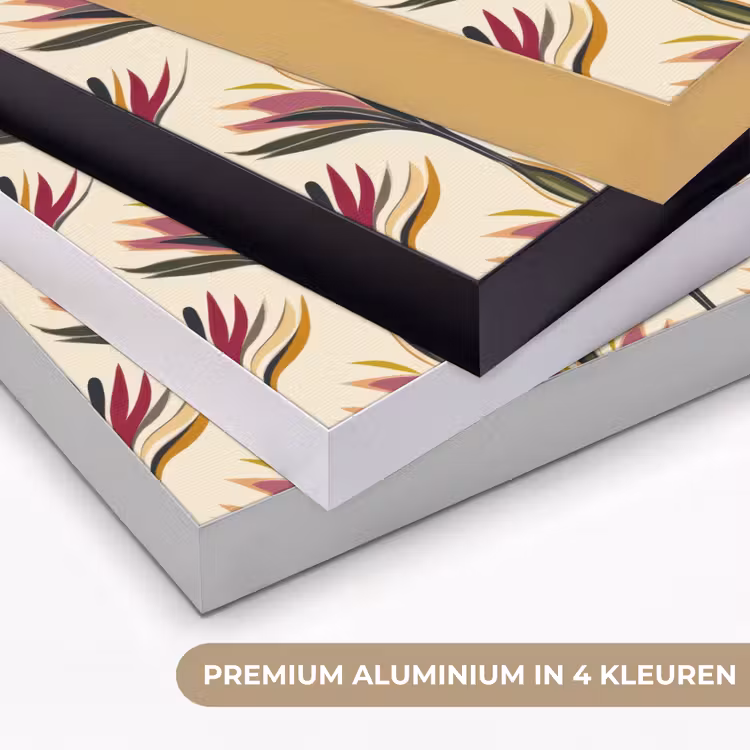 Art Frame - Waaier - Motief - Kleurrijk — 5