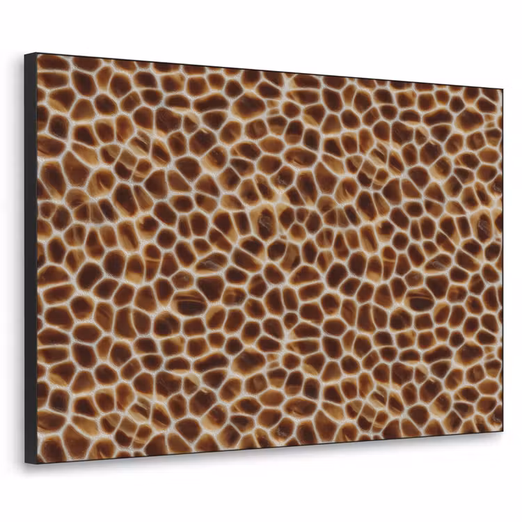 Art Frame - Schildpad - Bruin - Patroon — 1