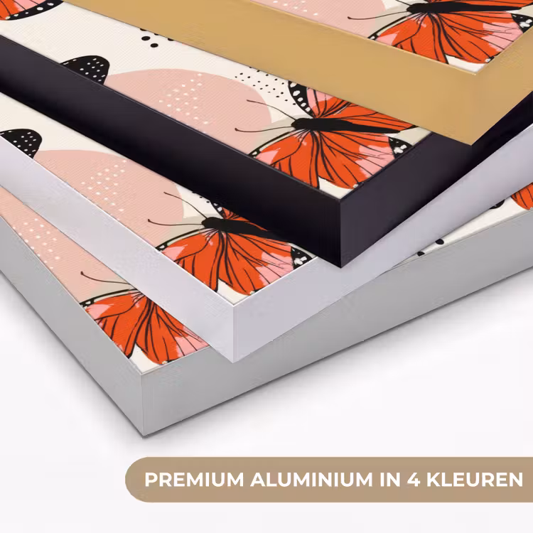 Art Frame - Vlinders - Retro - Kleurrijk — 5