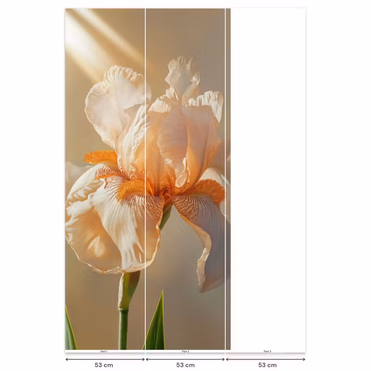 Behang - Close up - Oranje - Iris — 6