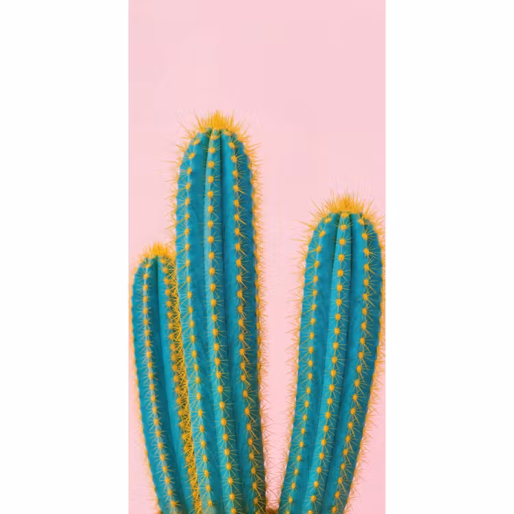 Behang - Cactussen - Modern - Pastel — 2