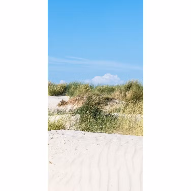 Behang - Duin - Strand - Natuur — 2