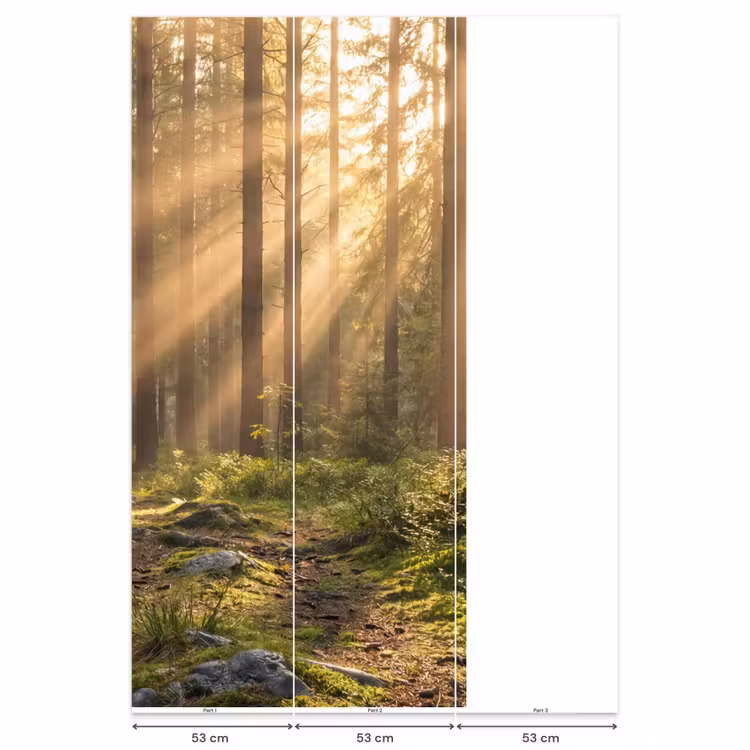 Behang - Bos - Zonlicht - Gras — 6