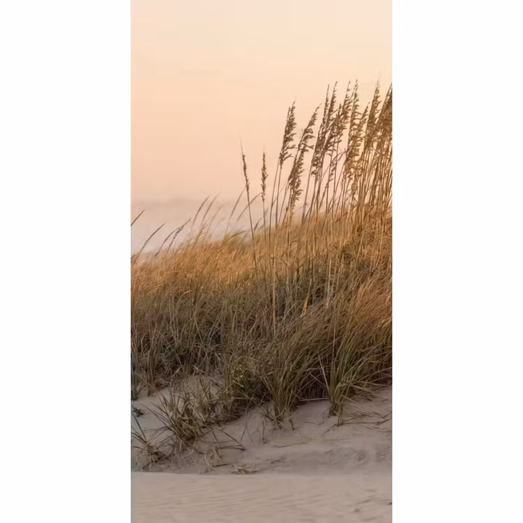 Behang - Duinlandschap - Zonsondergang - Strand — 2