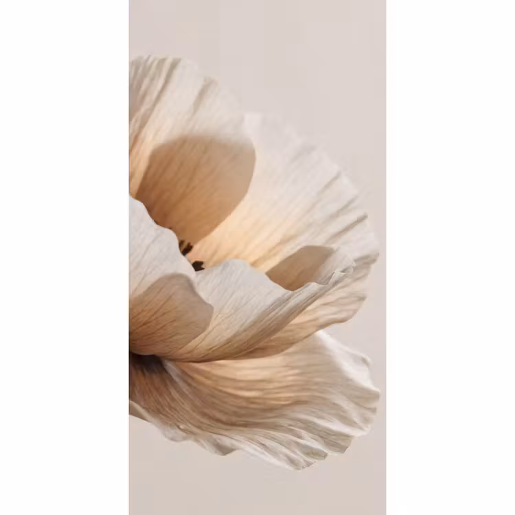 Behang - Bloem - Beige - Crème — 2