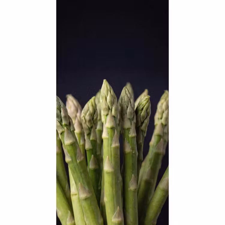 Behang - Asperges - Groen - Zwart — 2