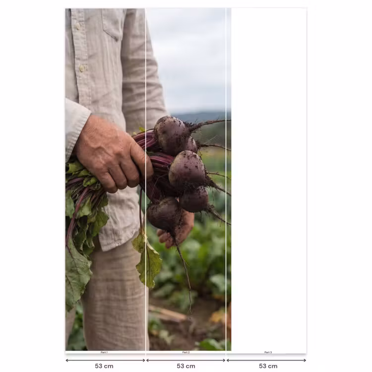 Behang - Bieten - Vers - Moestuin — 6