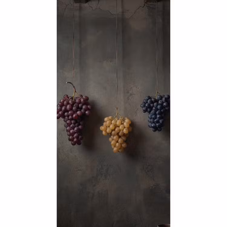 Behang - Druiven - Kleurrijk - Muur — 2