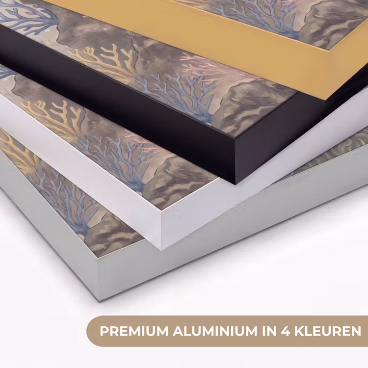 Art Frame - Vis - Koraalrif - Onderwaterwereld - Illustratie — 5
