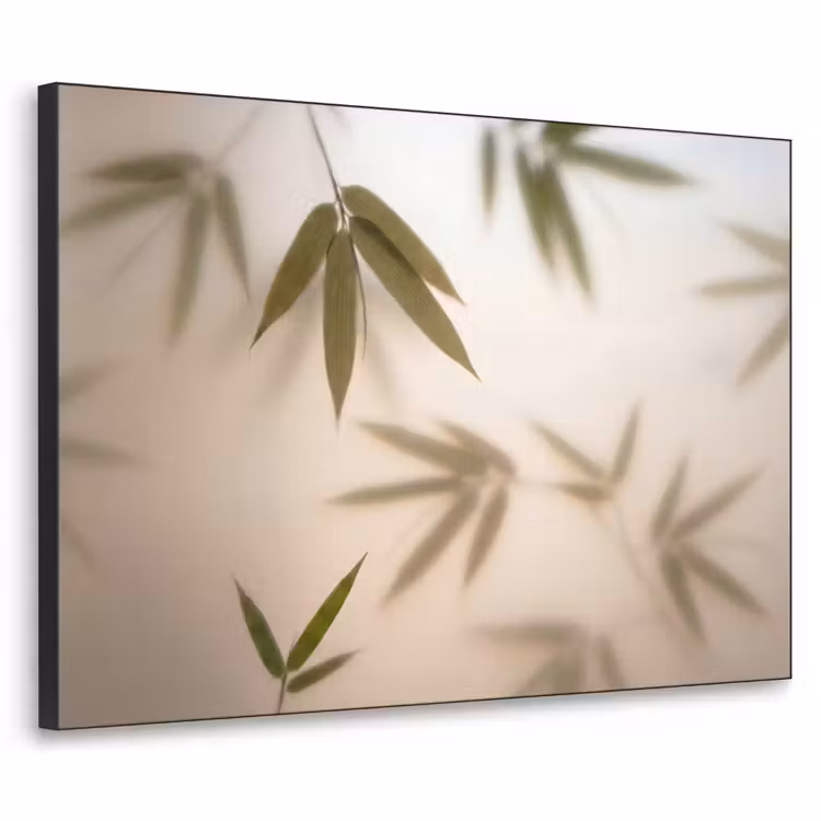 Art Frame - Planten - Bladeren - Natuur - Groen — 1