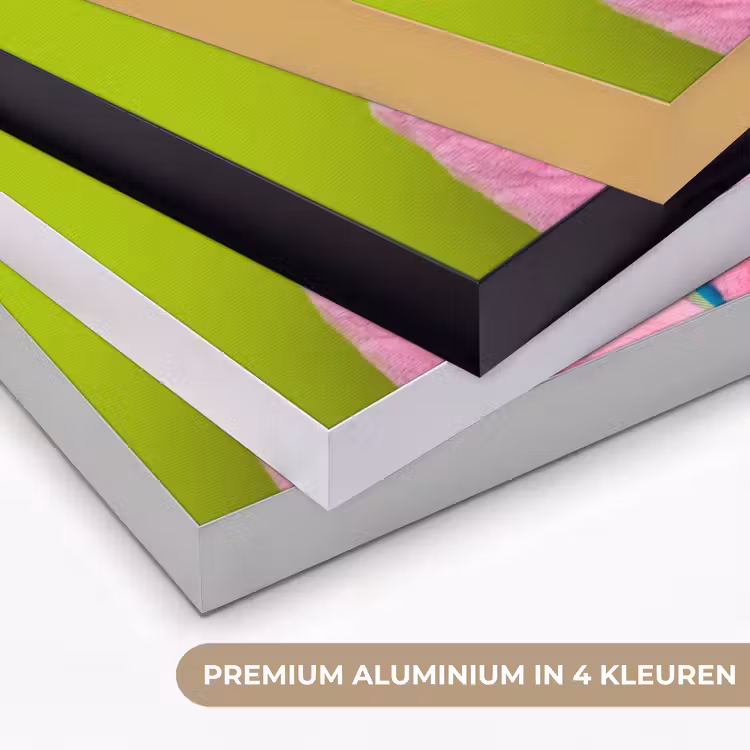 Art Frame - Vrouw - Kleurrijk haar - Pop art - Modern - Levendig — 5