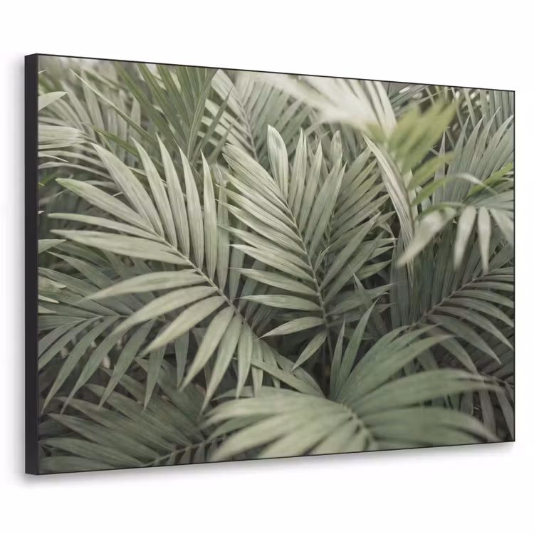 Art Frame - Plant - Palmbladeren - Natuur - Groen — 1