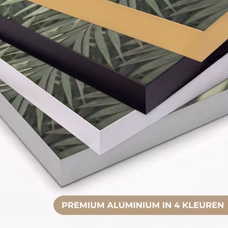 Art Frame - Plant - Palmbladeren - Natuur - Groen — 5