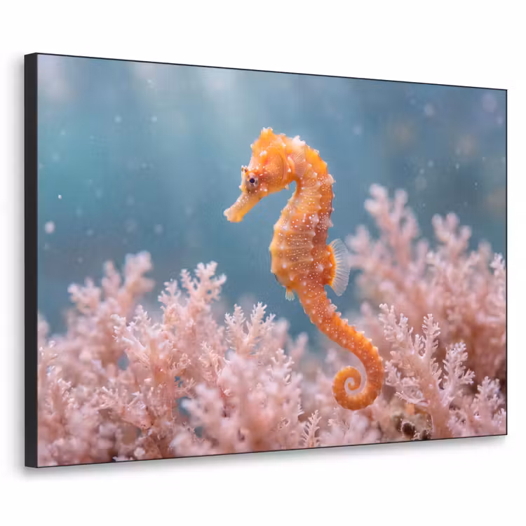 Art Frame - Vis - Koraal - Oceaan - Macro - Oranje — 1