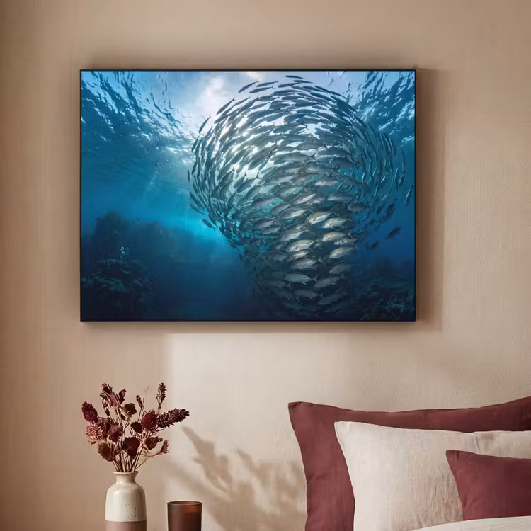 Art Frame - Vis - School - Oceaan - Natuur - Blauw — 2
