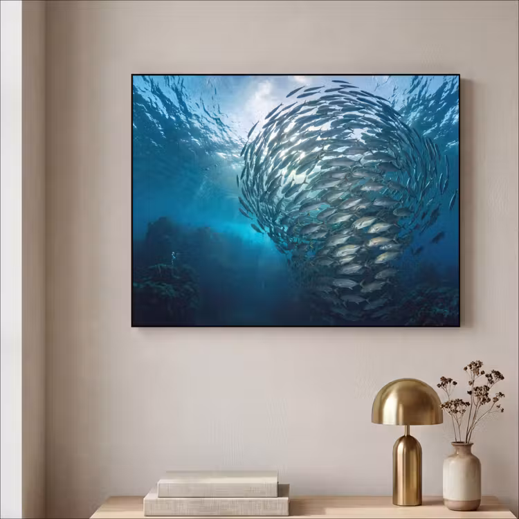 Art Frame - Vis - School - Oceaan - Natuur - Blauw — 3