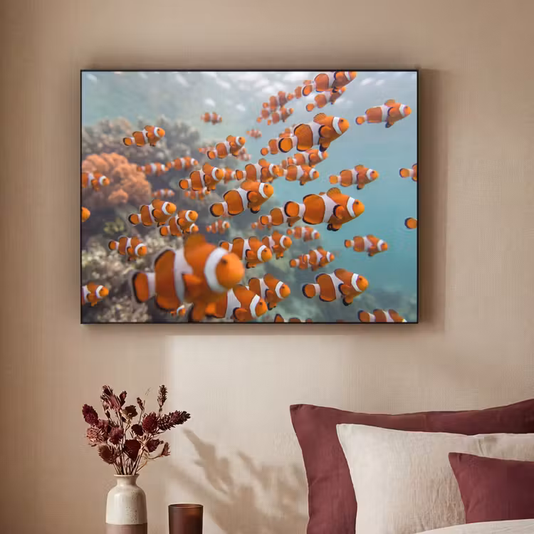 Art Frame - Vis - School - Onderwater - Dieren - Oranje — 2