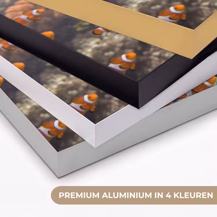 Art Frame - Vis - School - Onderwater - Dieren - Oranje — 5