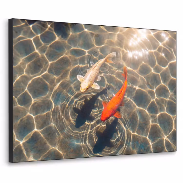 Art Frame - Vis - Water - Dieren - Oranje - Goud — 1