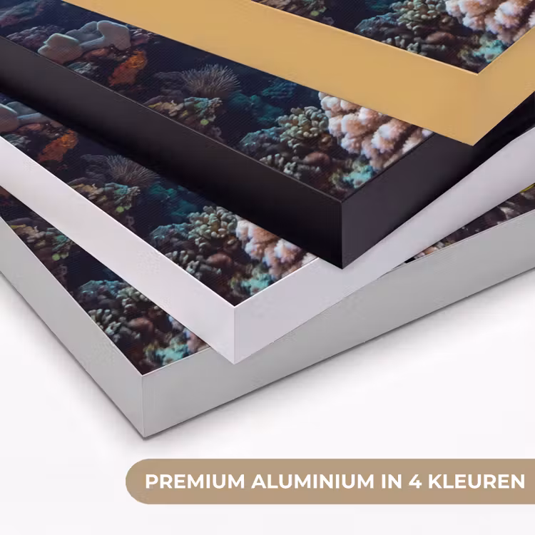 Art Frame - Zee - Koraalrif - Natuur - Levendig - Blauw — 5