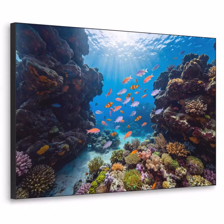 Art Frame - Vis - Koraalrif - Onderwater - Levendig - Blauw — 1