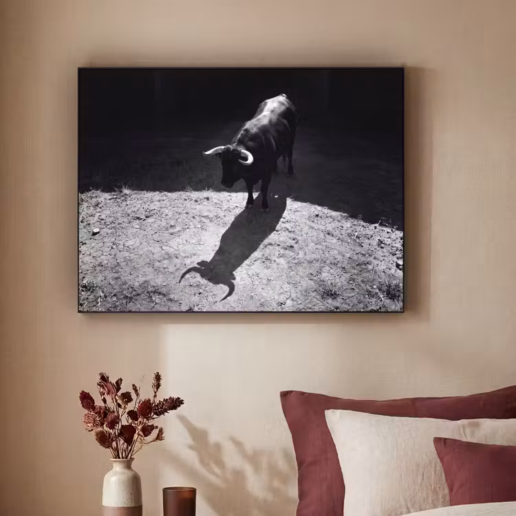 Art Frame - Stier - Schaduw - Dieren - Contrast - Zwart-wit — 2