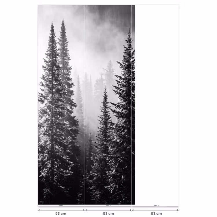 Behang - Bos - Mist - Winter - Monochroom - Natuur — 6