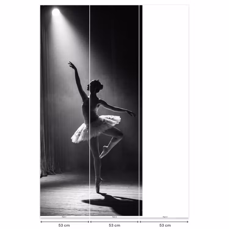 Behang - Danser - Podium - Zwart-wit - Kunst - Klassiek — 6