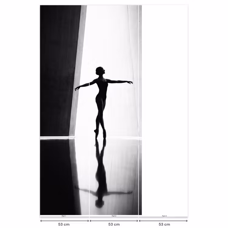 Behang - Danser - Silhouette - Kunst - Modern - Zwart-wit — 6