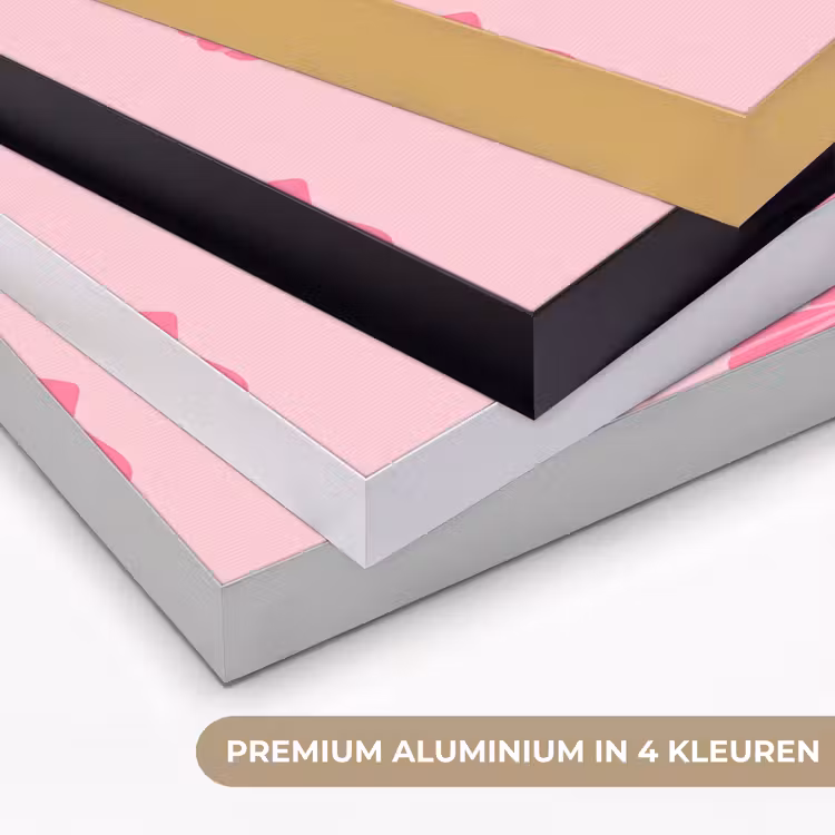 Art Frame - Schelp - Patroon - Zee - Modern - Roze — 5